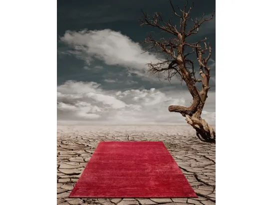 Tappeto Nepal annodato a mano di Tisca Italia