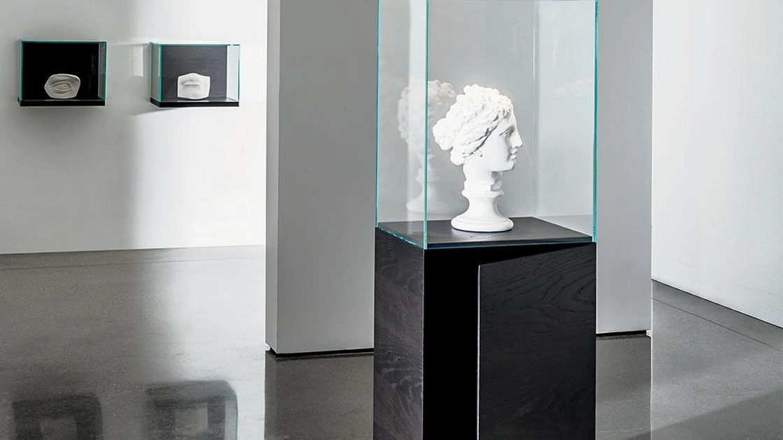 Nest Teca Contenitore in finitura Rovere wengé e parte superiore in vetro trasparente di Sovet