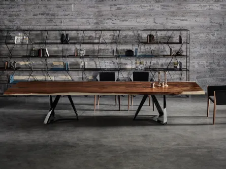 Libreria Lexington di Bontempi